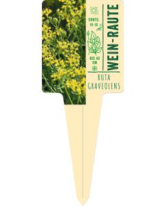 Ruta graveolens, Bildstecketikett VS: