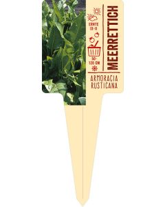 Armoracia rusticana, Bildstecketikett VS: