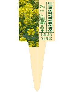 Barbarea vulgaris, Bildstecketikett VS: