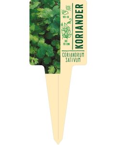 Coriandrum sativum, Bildstecketikett VS: