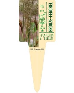 Foeniculum vulgare, Bildstecketikett VS: