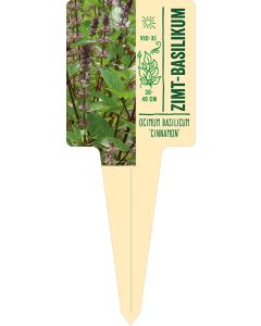 Ocimum basilicum 'Cinnamon', Bildstecketikett VS: