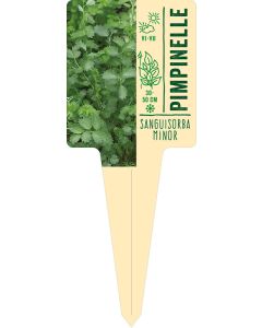 Sanguisorba minor, Bildstecketikett VS: