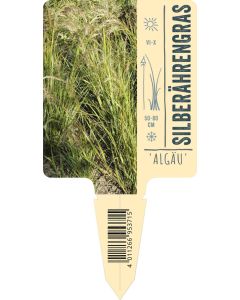 Achnatherum calamagrostis 'Algäu' VS