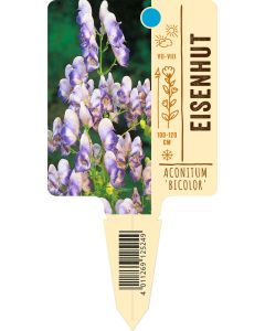 Aconitum x cammarum 'Bicolor', Bildstecketikett VS