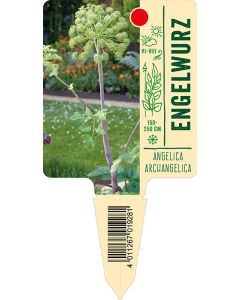 Angelicaarchangelica, Bildstecketikett VS: