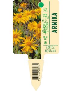 Arnicamontana, Bildstecketikett VS: