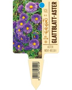 Asternovi-belgii, Bildstecketikett VS: