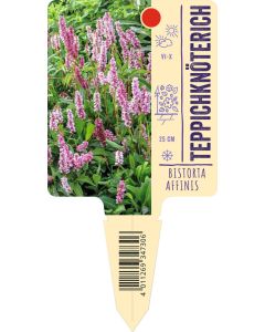 Bistorta affinis, Bildstecketikett VS