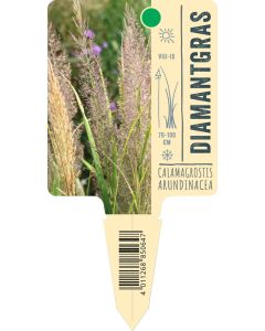 Calamagrostis arundinacea var. brachytricha, Bildstecketikett VS