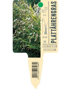 Chasmanthium latifolium, Bildstecketikett VS
