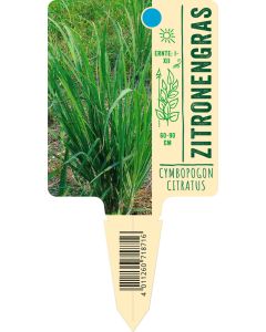 Cymbopogoncitratus, Bildstecketikett VS: