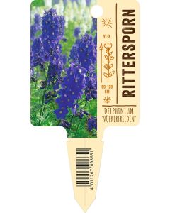 Delphinium Bellad. 'Völkerfrieden', Bildstecketikett VS