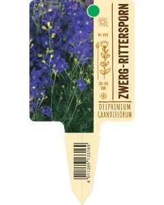 Delphinium grandiflorum, Bildstecketikett VS