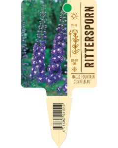 Delphinium Hybr. 'Magic Fountain Dunkelblau', Bildstecketikett VS