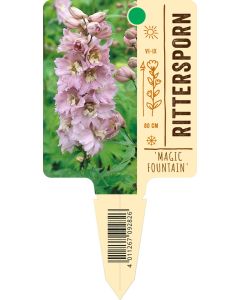 Delphinium Hybride 'Magic Fountain', Bildstecketikett VS