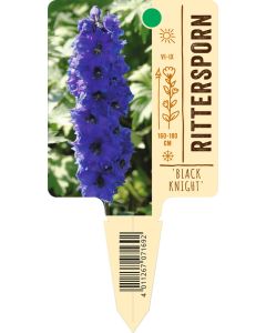 Delphinium Pacific-Hybride 'Black Knight', Bildstecketikett VS