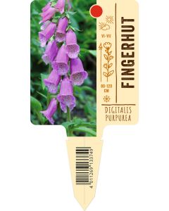 Digitalispurpurea, Bildstecketikett VS: