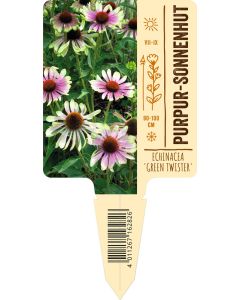 Echinacea purp. 'Green Twister', Bildstecketikett VS: