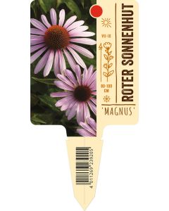 Echinacea purpurea 'Magnus', Bildstecketikett VS