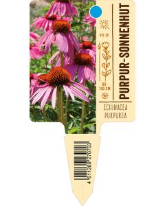 Echinaceapurpurea, Bildstecketikett VS: