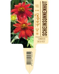 Garten-Scheinsonnenhut, Bildstecketikett VS: