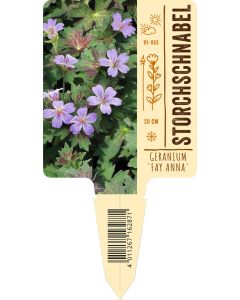 Geranium-Hybride 'Fay Anna', Bildstecketikett VS