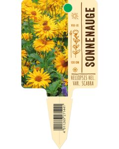 Heliopsis helianthoides var. scabra, Bildstecketikett VS