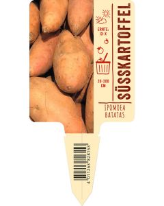 Ipomoea batatas, Bildstecketikett VS