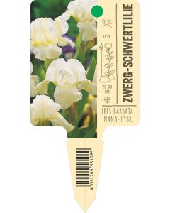 Iris Barbata-Nana-Hybride, Bildstecketikett VS