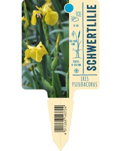 Irispseudacorus, Bildstecketikett VS: