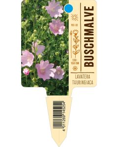 Lavaterathuringiaca, Bildstecketikett VS: