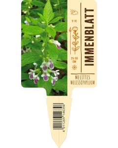 Melittis melissophyllum, Bildstecketikett VS