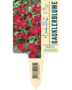 Mimulus cupreus 'Roter Kaiser', Bildstecketikett VS