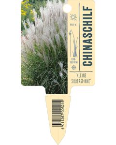 Miscanthussinensis, Bildstecketikett VS: