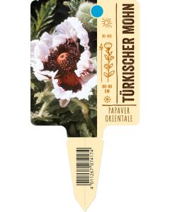 Papaver orientale, Bildstecketikett VS