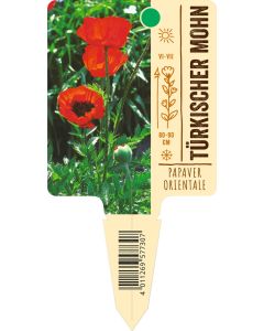 Papaver orientale, Bildstecketikett VS