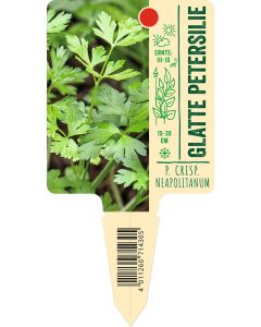 Petroselinum crs neapol., Bildstecketikett VS