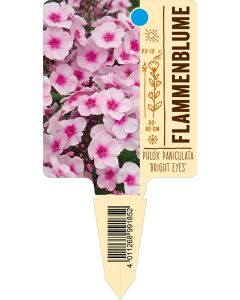 Phlox 'Bright Eyes', Bildstecketikett VS: