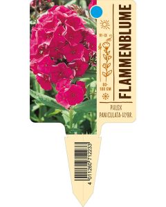PhloxPaniculata-Hybride, Bildstecketikett VS: