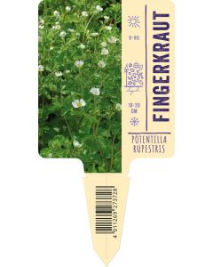 Potentilla rupestris, Bildstecketikett VS