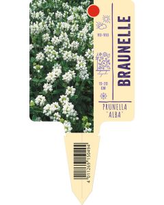 'Alba', Bildstecketikett VS: