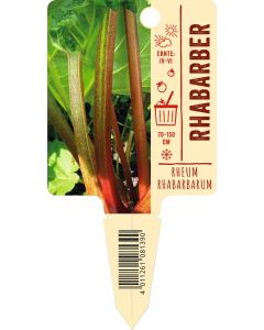 Rheumrhabarbarum, Bildstecketikett VS: