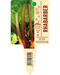 Rheum rhabarbarum, Bildstecketikett VS