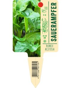 Rumex acetosa, Bildstecketikett VS