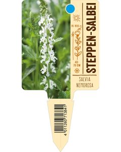 Salvianemorosa, Bildstecketikett VS: