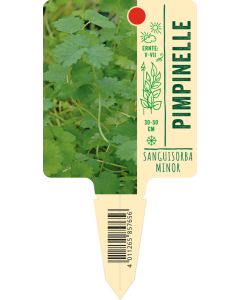 Sanguisorbaminor, Bildstecketikett VS: