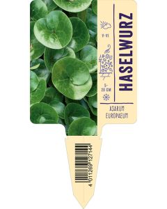 Asarum europaeum, Bildstecketikett VS: