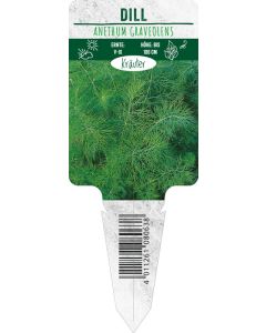 Anethum graveolens, Bildstecketikett VS