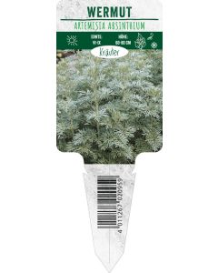 Artemisia absinthium, Bildstecketikett VS
